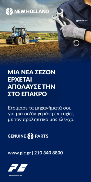 KONTELIS 5 2025 B 300x600