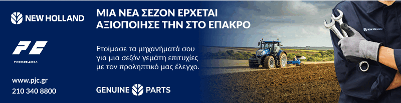 KONTELIS 6 2025